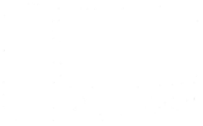 Participant